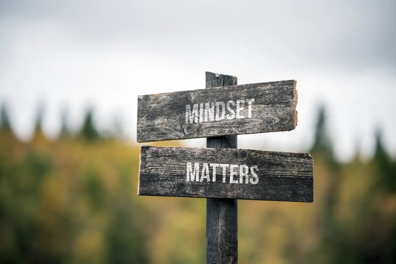 Mike Frajese Coaching – Die Einstellung ist entscheidend, geschrieben auf einem Holzschild